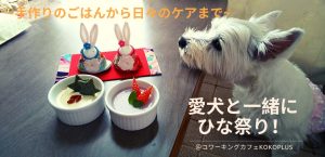 【犬用お料理教室】1月のテーマは、「ワンちゃんにも大敵 冬の『冷え』と『乾燥』対策」 旬の食材を使って体の中から温め、水分補給もばっちりの「スープご飯」を作りましょう。毎月第3火曜日は「わんちゃんデー」 大切な愛犬のためにできること、楽しく学んでみませんか? @ コワーキングカフェKOKOPLUS | 杉並区 | 東京都 | 日本